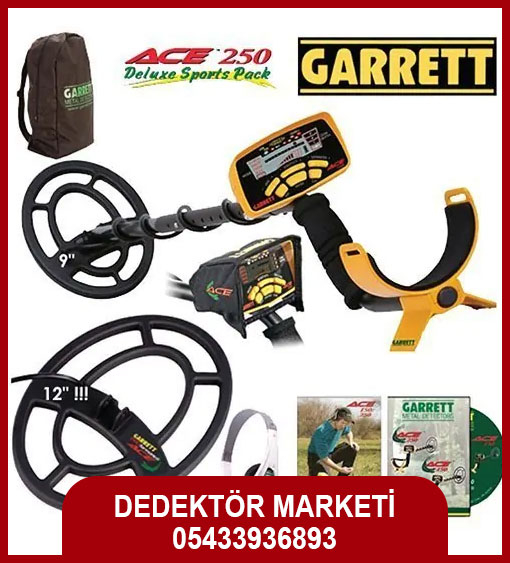 GARRETT ACE 250 1 garrett ace 250