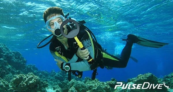 Nokta PulseDive Scuba Dedektörü 4 pulsedive scuba under the sea