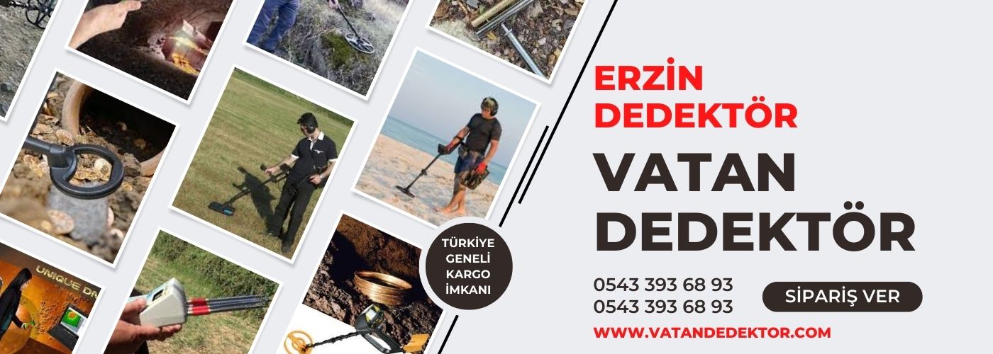 erzin dedektör