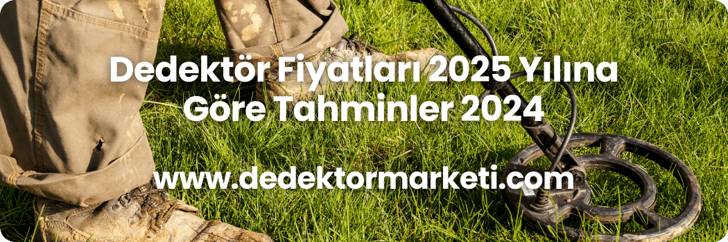 Dedektör Fiyatları 2025 Yılına Göre Tahminler 2024 (2)